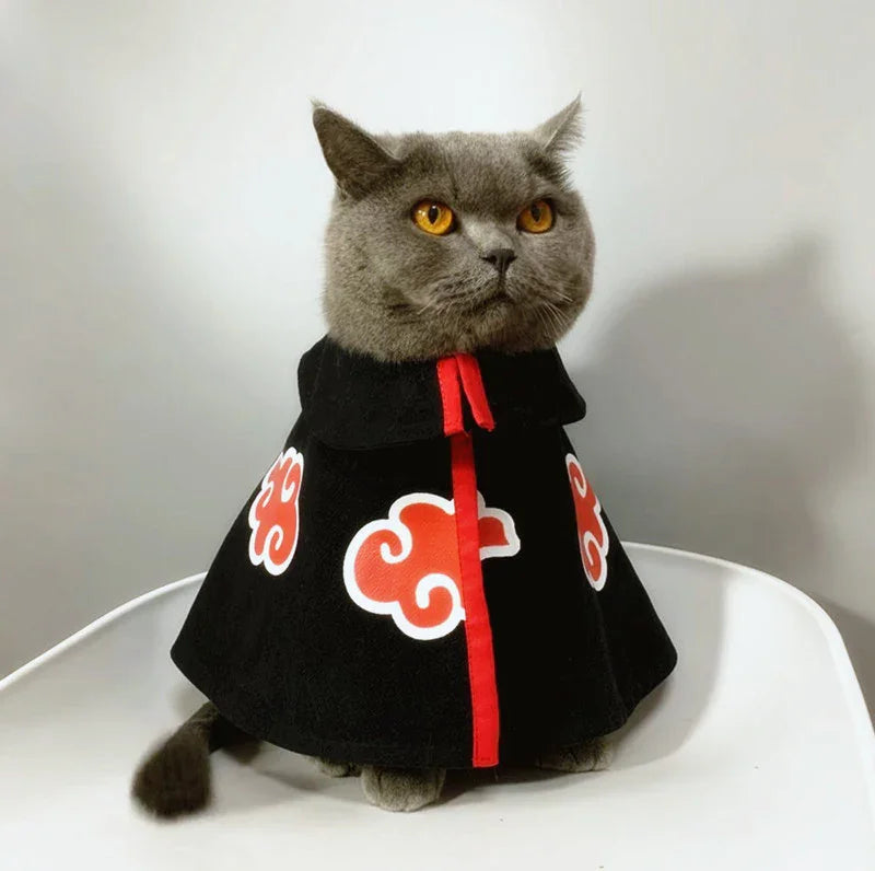 Dailypets Black Cat Cape with Red Cloud Design for Photo Sessions