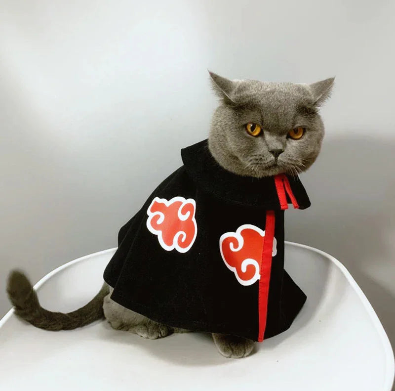 Dailypets Black Cat Cape with Red Cloud Design for Photo Sessions
