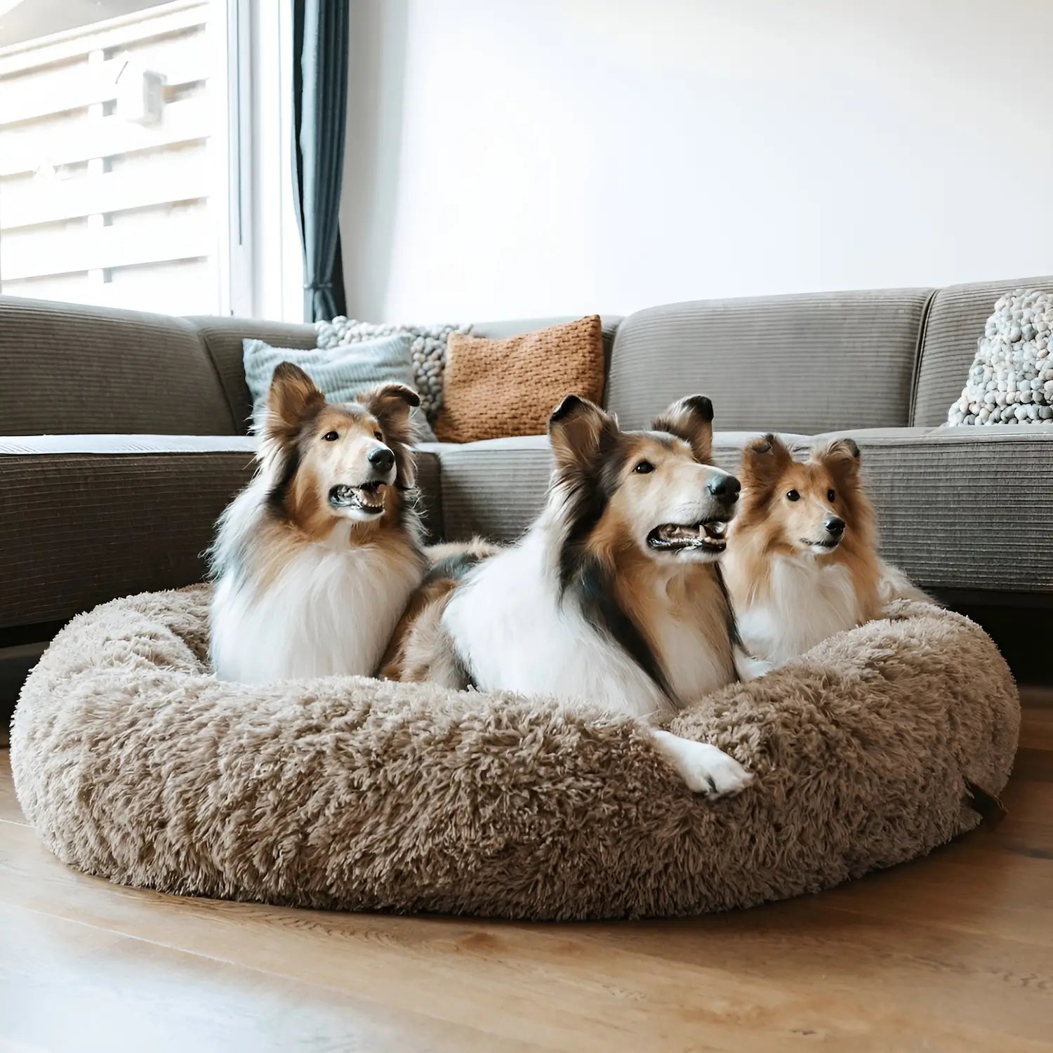 Dailypets Cozy Dog Donut Bed, Fluffy Resting Bed for Small to Large Breeds