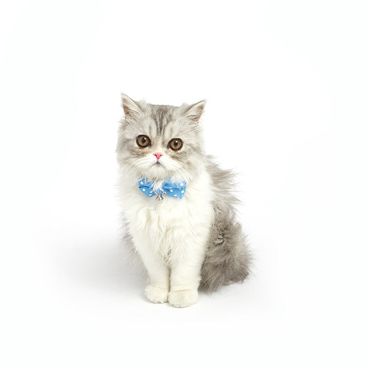 Dailypets Bow Tie Cat Collar with Decorative Fabric Bow