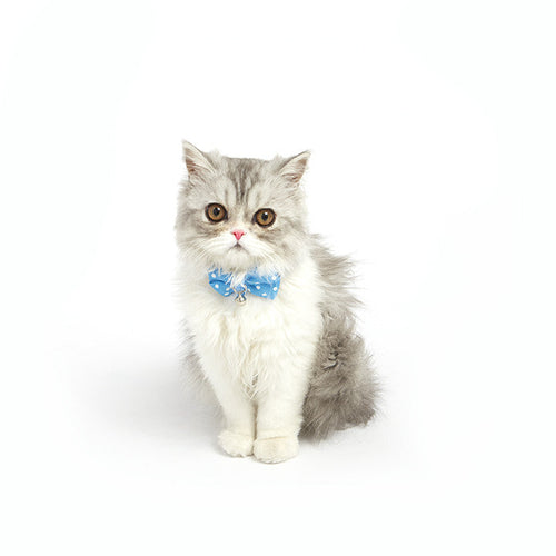 Dailypets Bow Tie Cat Collar with Decorative Fabric Bow