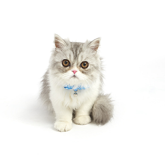 Dailypets Bow Tie Cat Collar with Decorative Fabric Bow