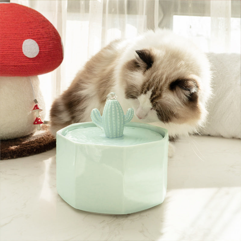 Dailypets Ceramic Cactus Cat Water Fountain 50oz with Automatic Filtration