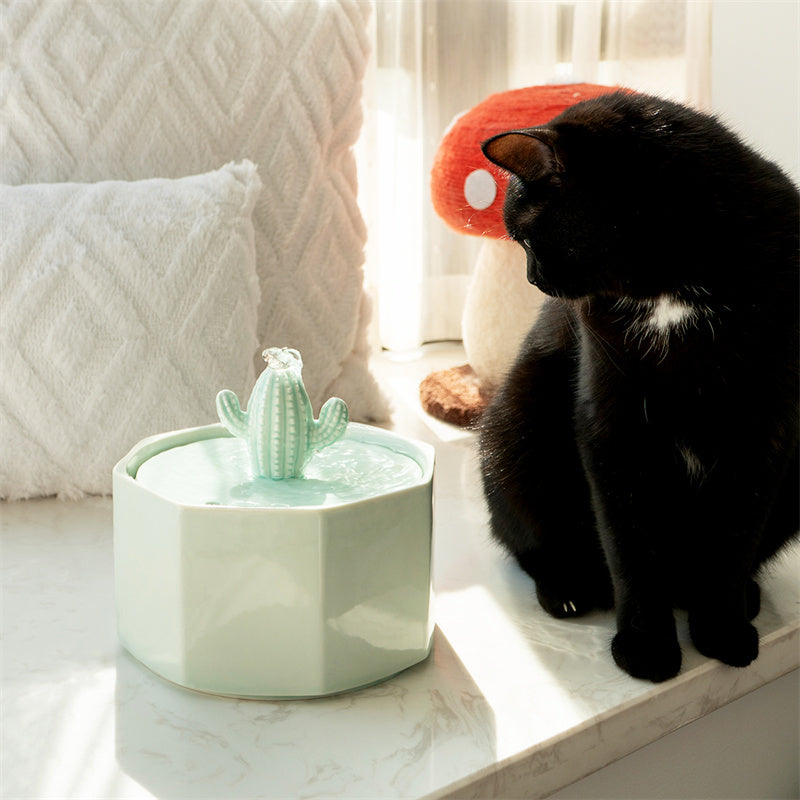 Dailypets Ceramic Cactus Cat Water Fountain 50oz with Automatic Filtration