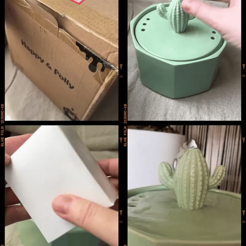 Dailypets Ceramic Cactus Cat Water Fountain 50oz with Automatic Filtration