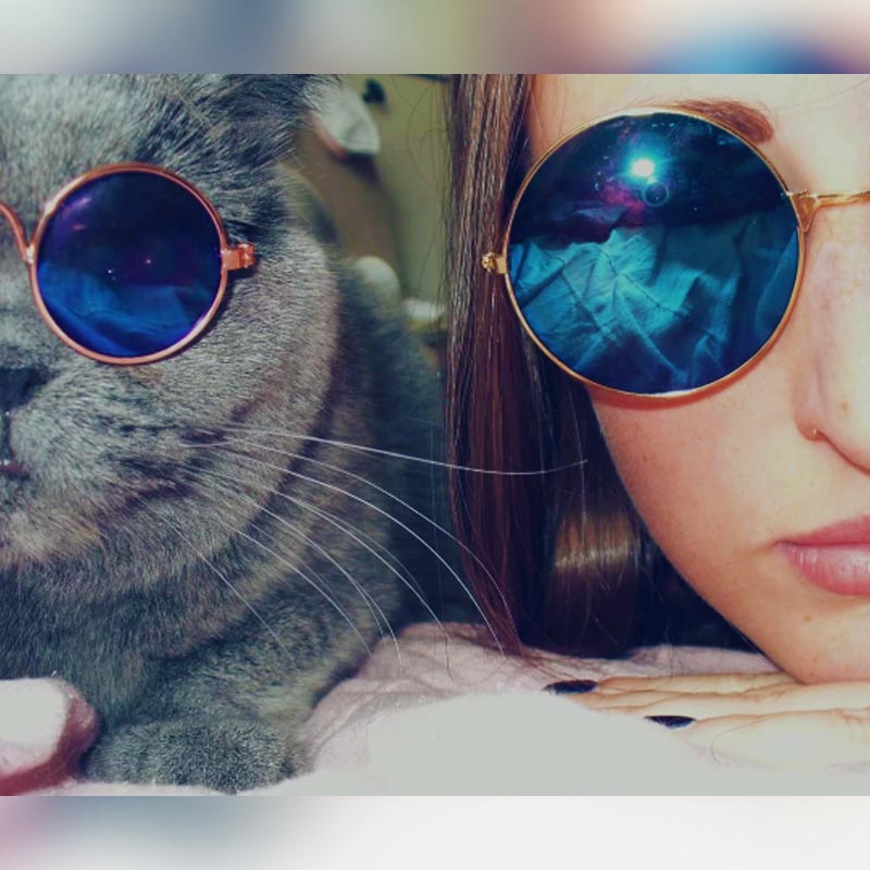 Dailypets Round Hippie Sunglasses for Cats