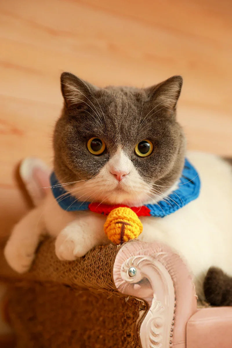 Dailypets Soft Knit Cat Collar with Decorative Bell and Comfortable Fit