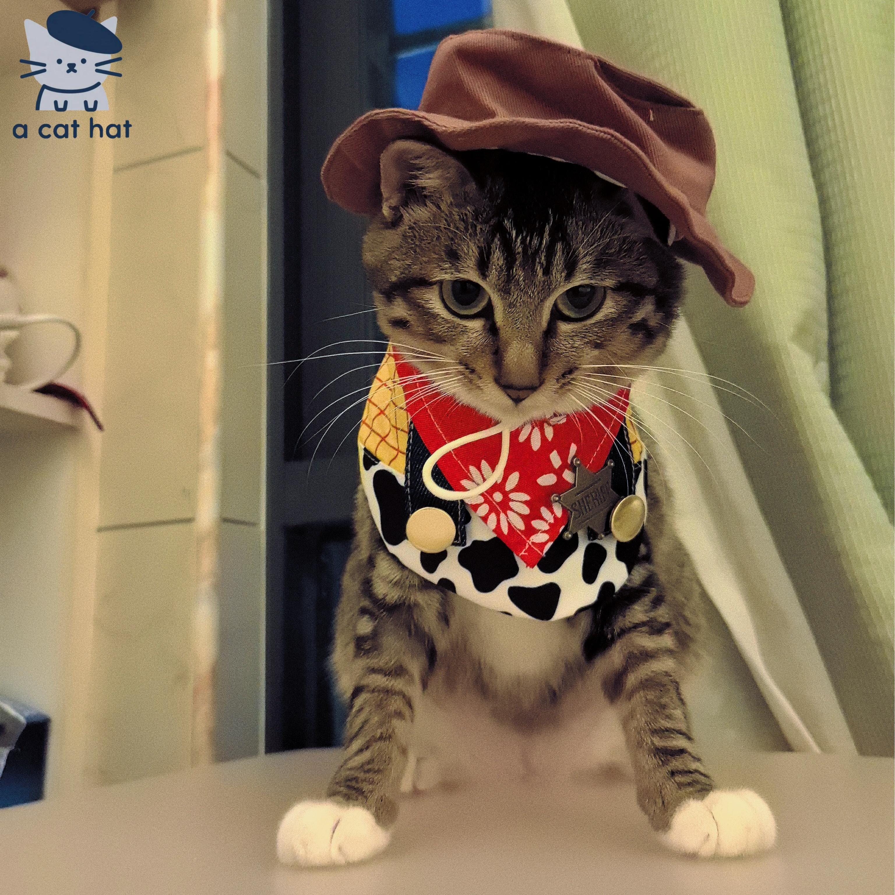 Dailypets Cowboy Sheriff Cat Costume Set with Western Hat and Patchwork Bib