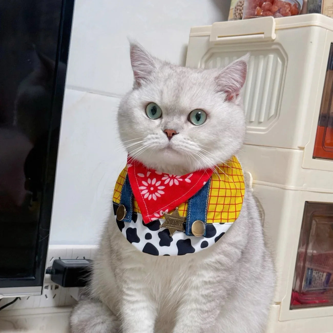 Dailypets Cowboy Sheriff Cat Costume Set with Western Hat and Patchwork Bib