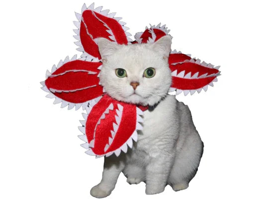 Dailypets Creature-Inspired Pet Flower Collar for Cats and Photo Sessions