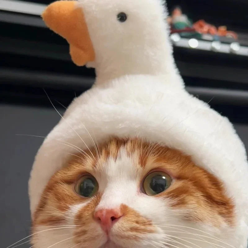 Dailypets Plush Animal Cat Hat for Parties and Memorable Photos