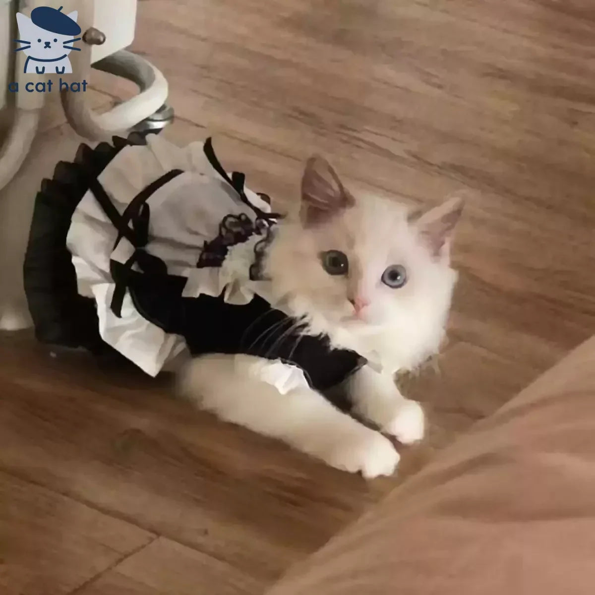 Dailypets Vintage-Inspired Maid Cat Dress with Frills and Decorative Apron Style