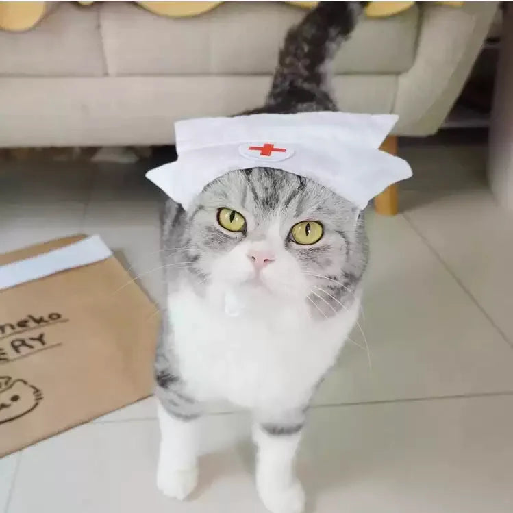Dailypets Nurse Cat Dress with Matching Medical Cap for Photo Sessions