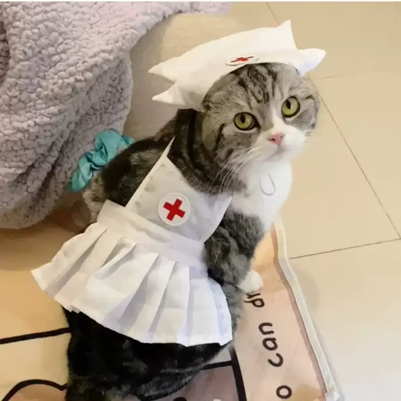Dailypets Nurse Cat Dress with Matching Medical Cap for Photo Sessions