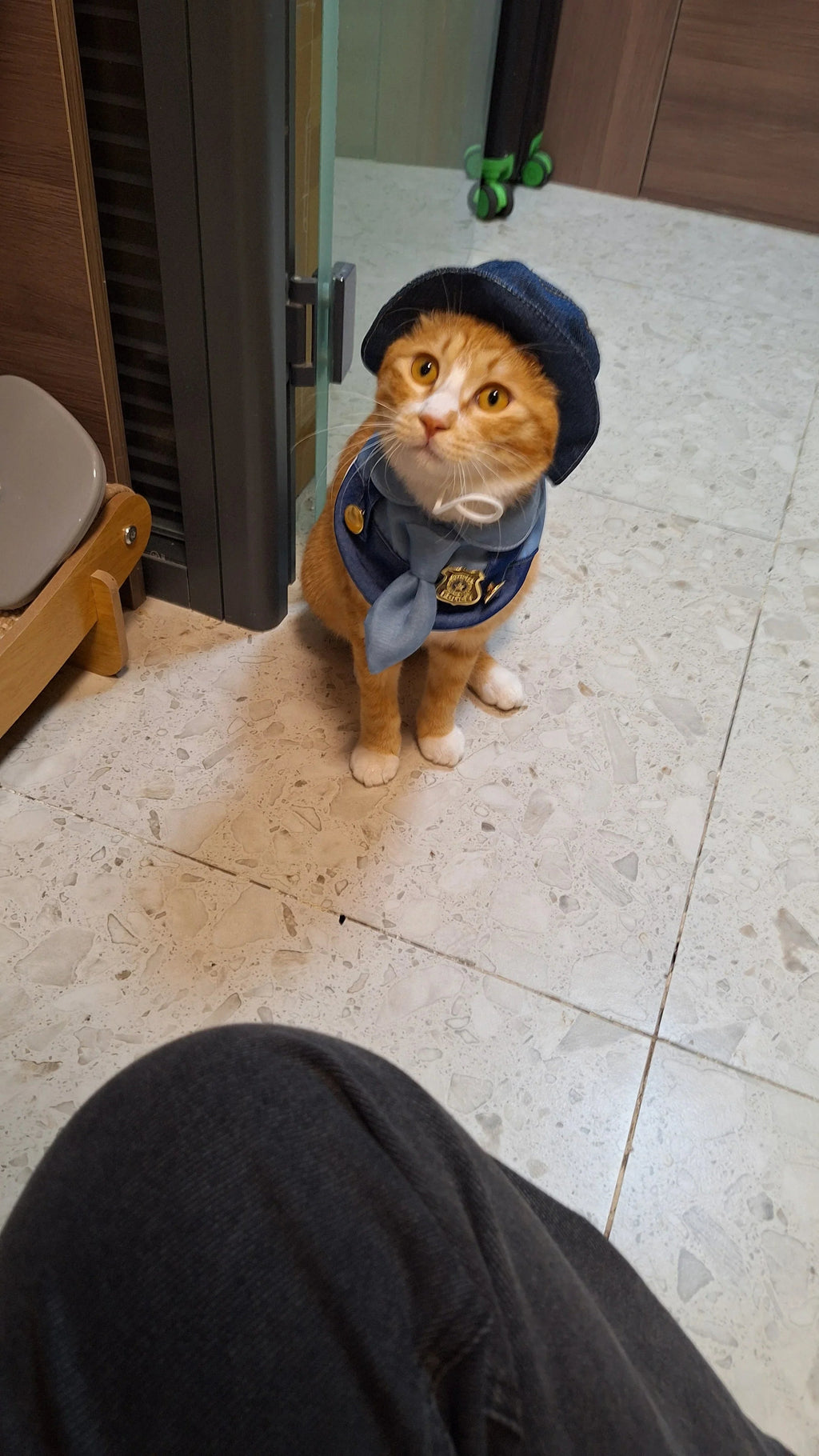 Dailypets Police Officer Cat Costume Set with Uniform Top and Matching Hat