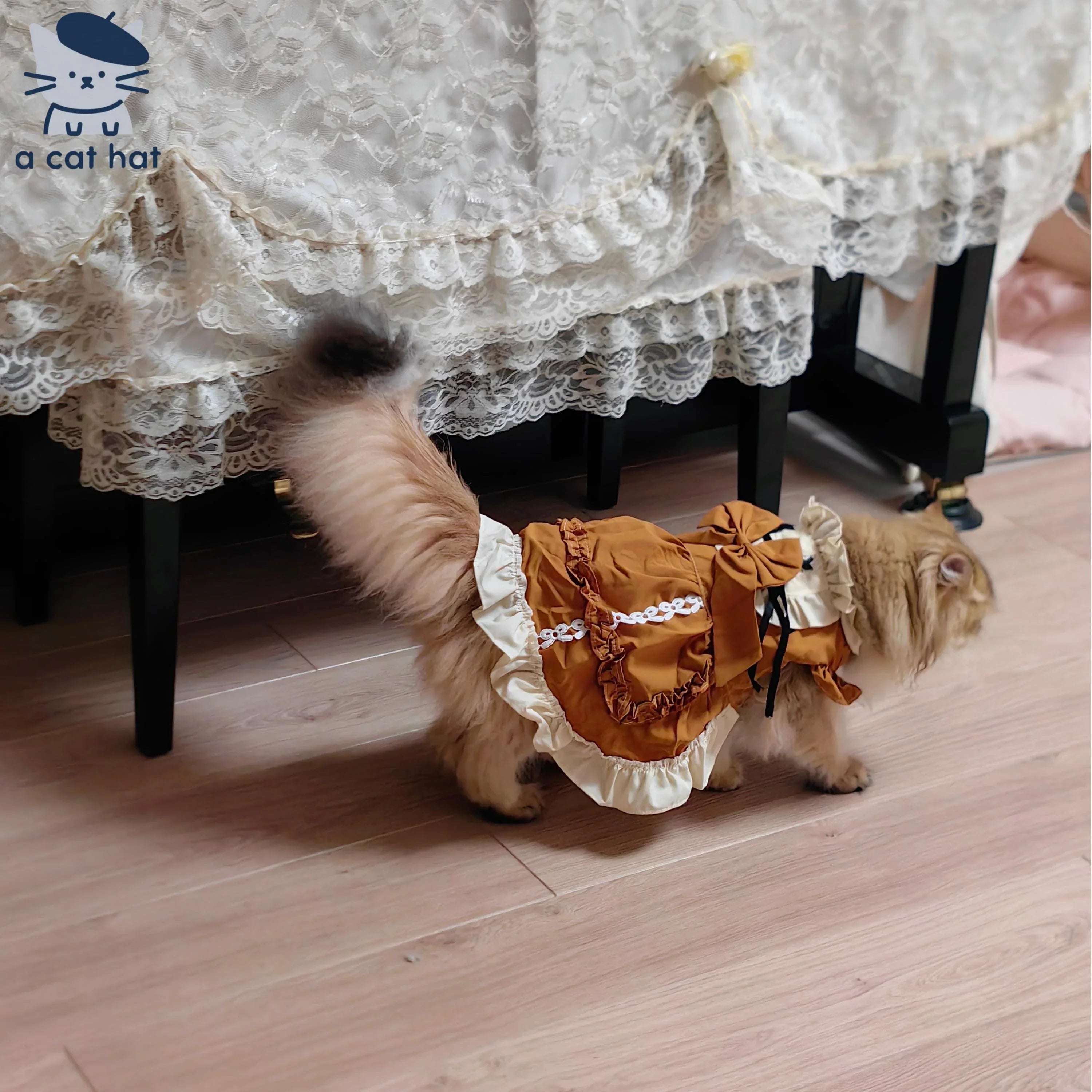 Dailypets Princess Cat Dress with Lace Trim and Elegant Autumn-Inspired Design