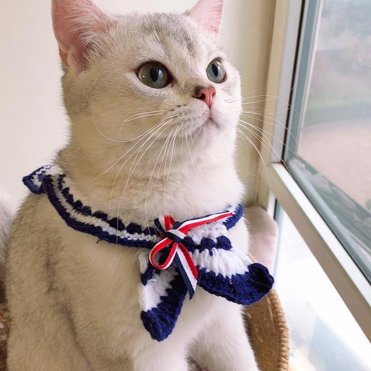 Dailypets Sailor Cat Collar with Knitted Bow for Everyday Dress-Up