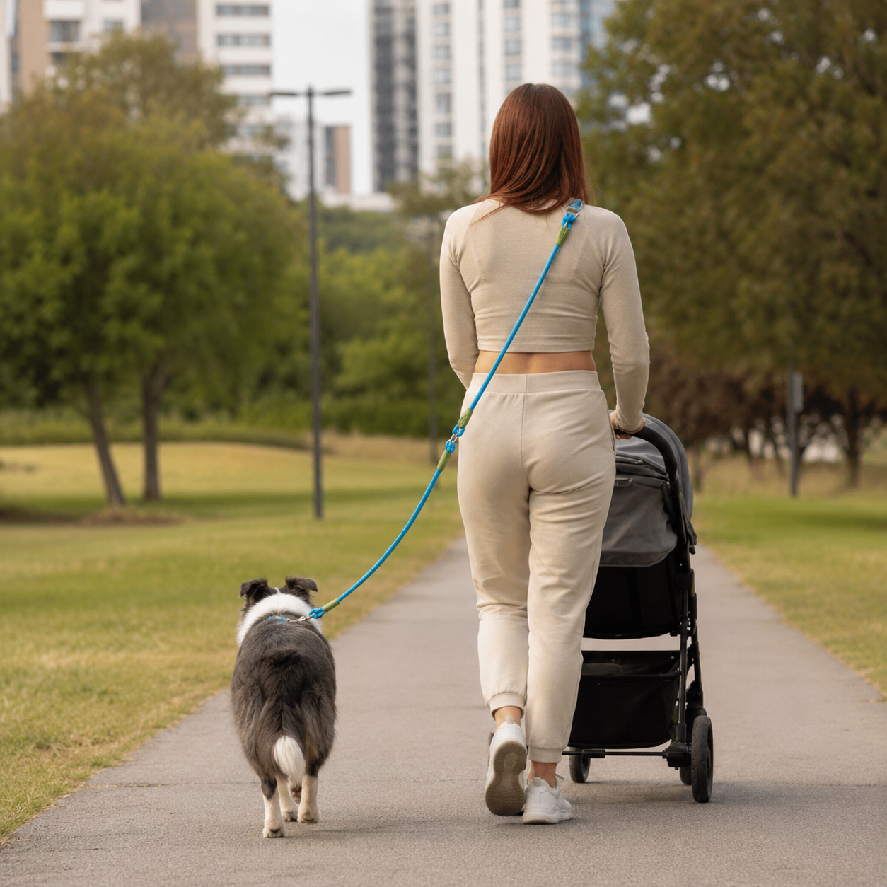 Dailypets Reflective Hands-Free Dog Leash with Bite-Resistant Chain for Running & Walking