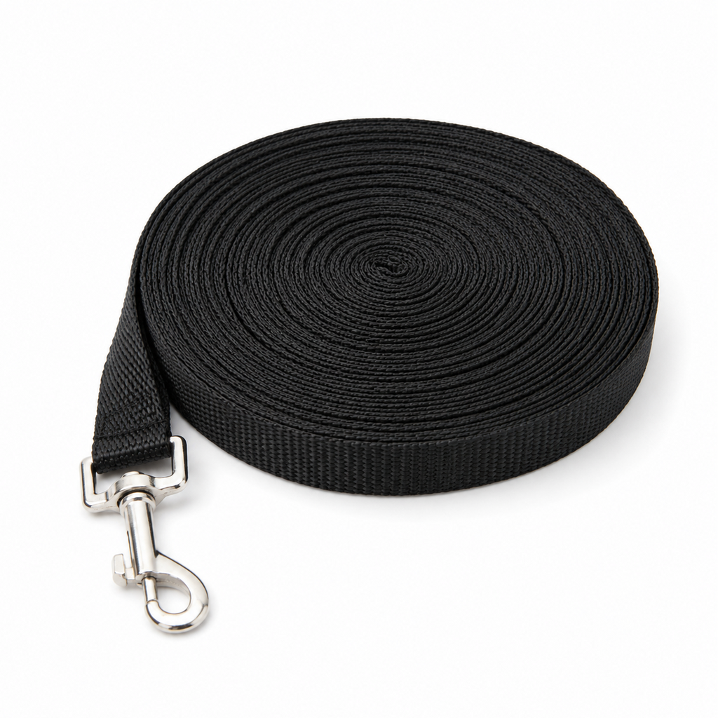 Dailypets Long Training Dog Leash with Durable Nylon Design for Recall and Obedience