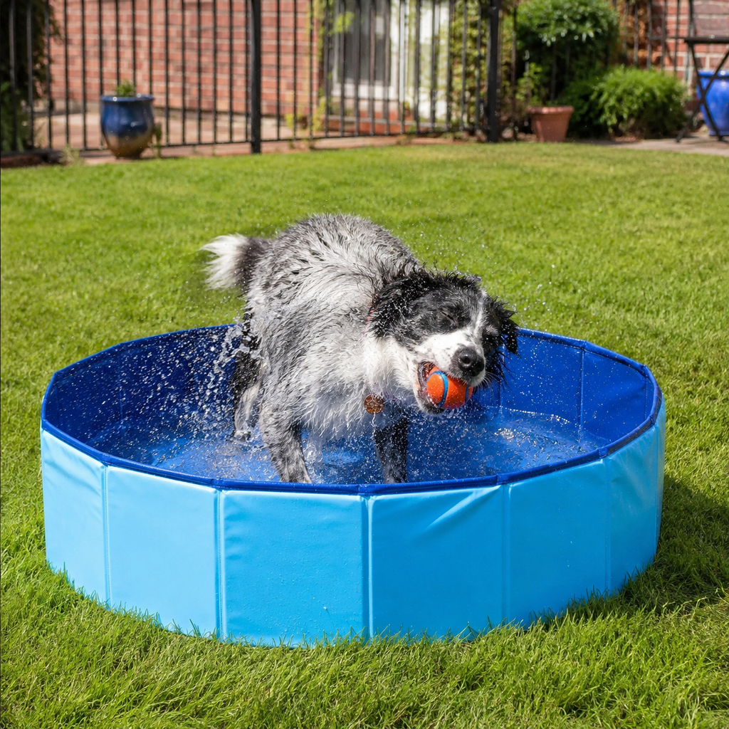Dailypets Foldable Pet Pool with Portable Design for Outdoor Cooling and Summer Fun