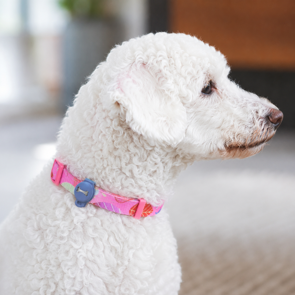Dailypets Waterproof Silicone AirTag Pet Collar Holder with Secure Anti-Slip Clip Design