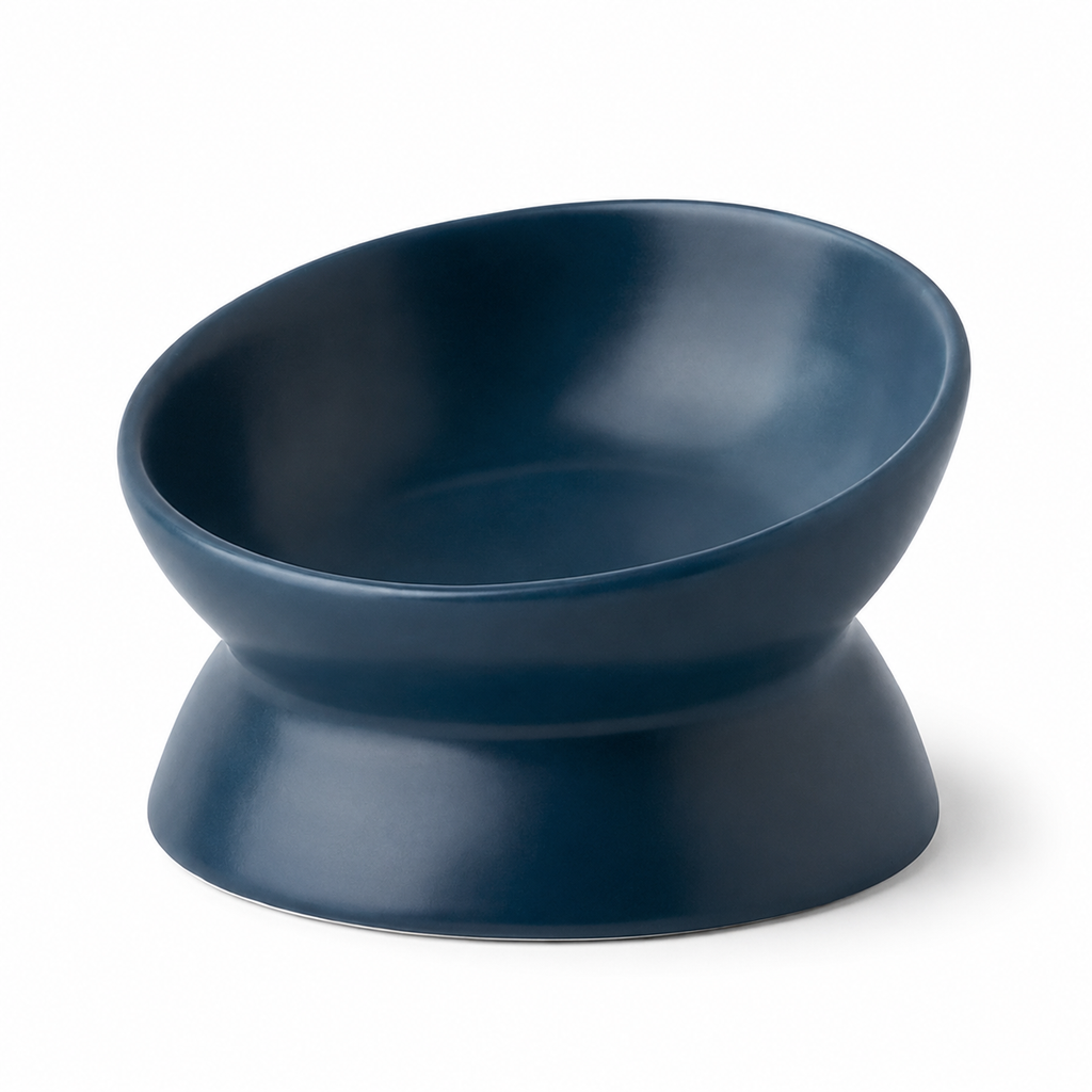 Dailypets Elevated Ceramic Pet Bowl with Angled Stand for Comfortable Everyday Feeding