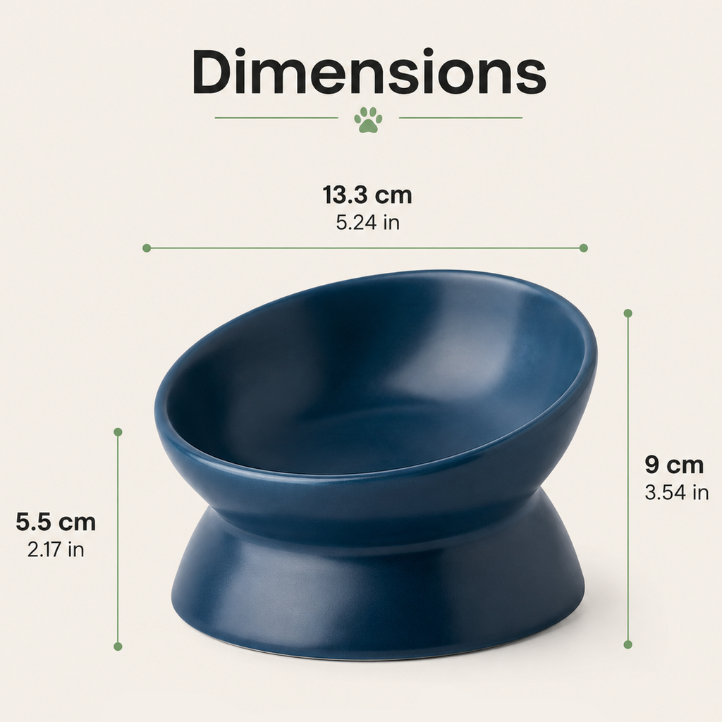 Dailypets Elevated Ceramic Pet Bowl with Angled Stand for Comfortable Everyday Feeding