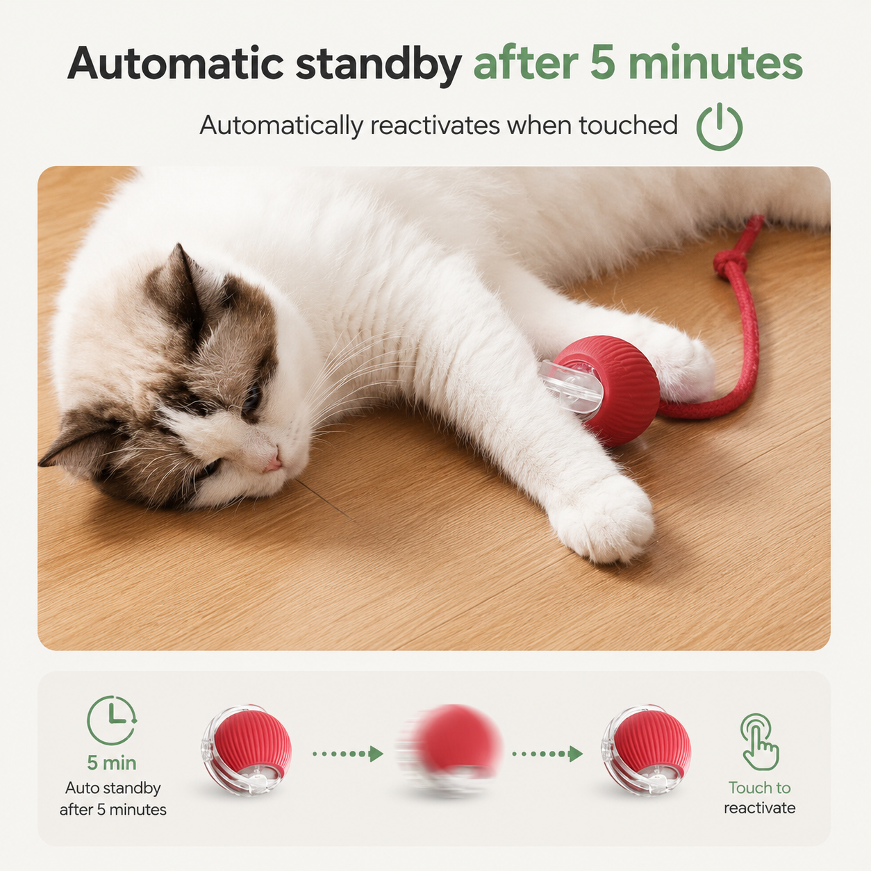 Dailypets Automatic Interactive Pet Ball with Smart Motion and USB Rechargeable Design
