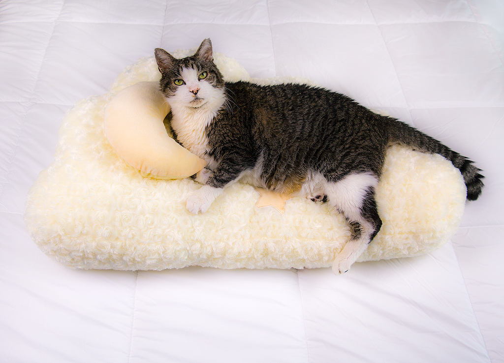 Dailypets Soft Faux Fur Cloud Cat Bed for Cats