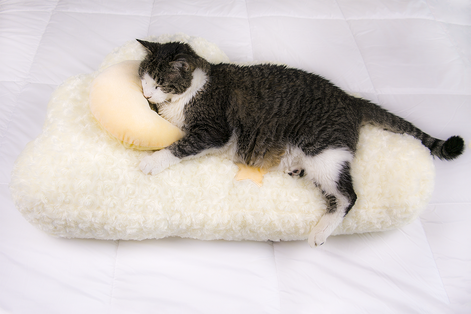 Dailypets Dreamy Cloud Plush Cat Bed