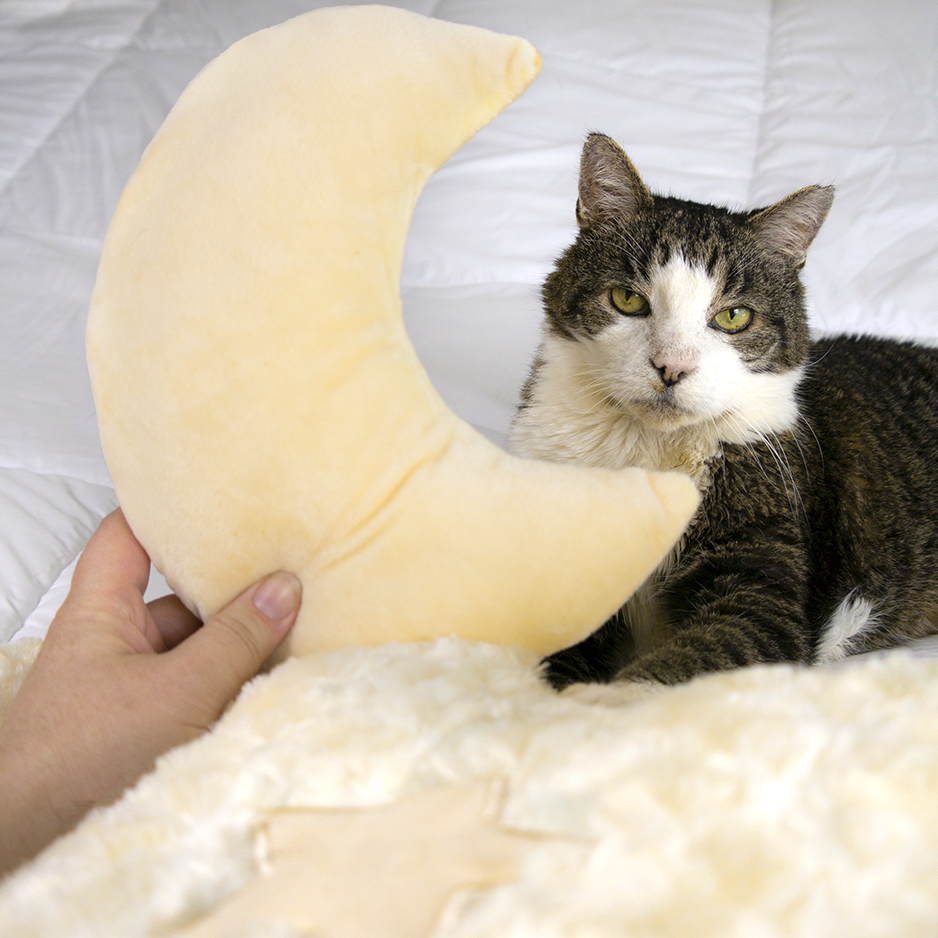 Dailypets Dreamy Cloud Plush Cat Bed