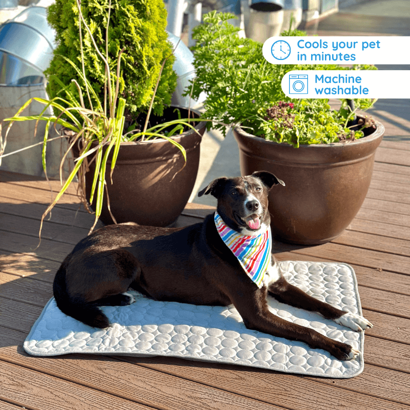 Dailypets Self-Cooling Pet Pad, Soft Waterproof Mat for Warm Days