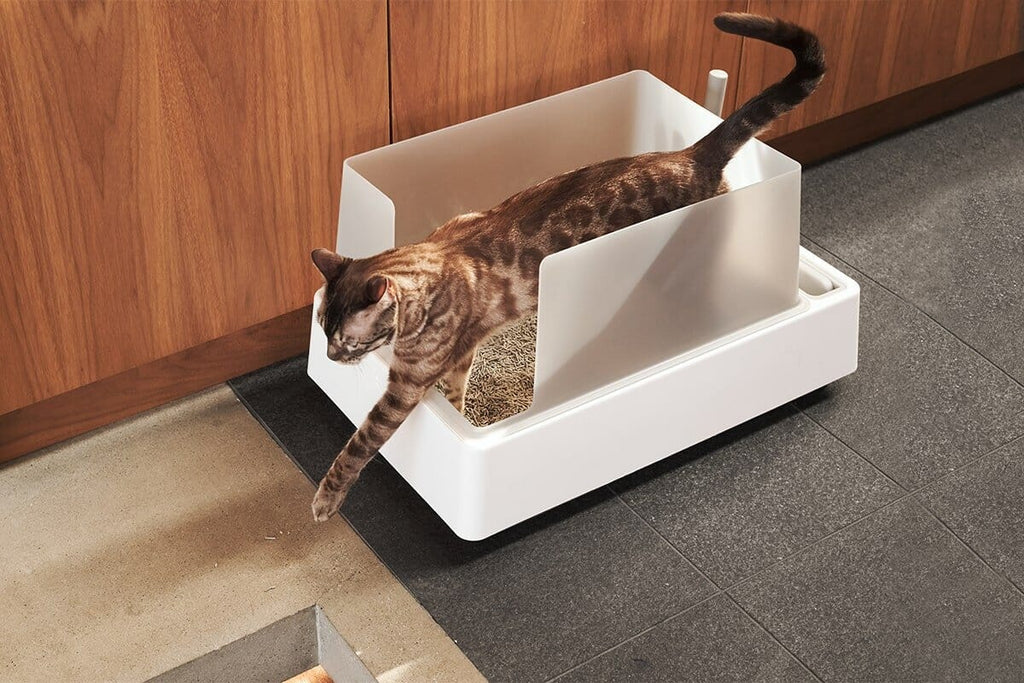 Dailypets All-in-One Litter Box with Scoop Storage