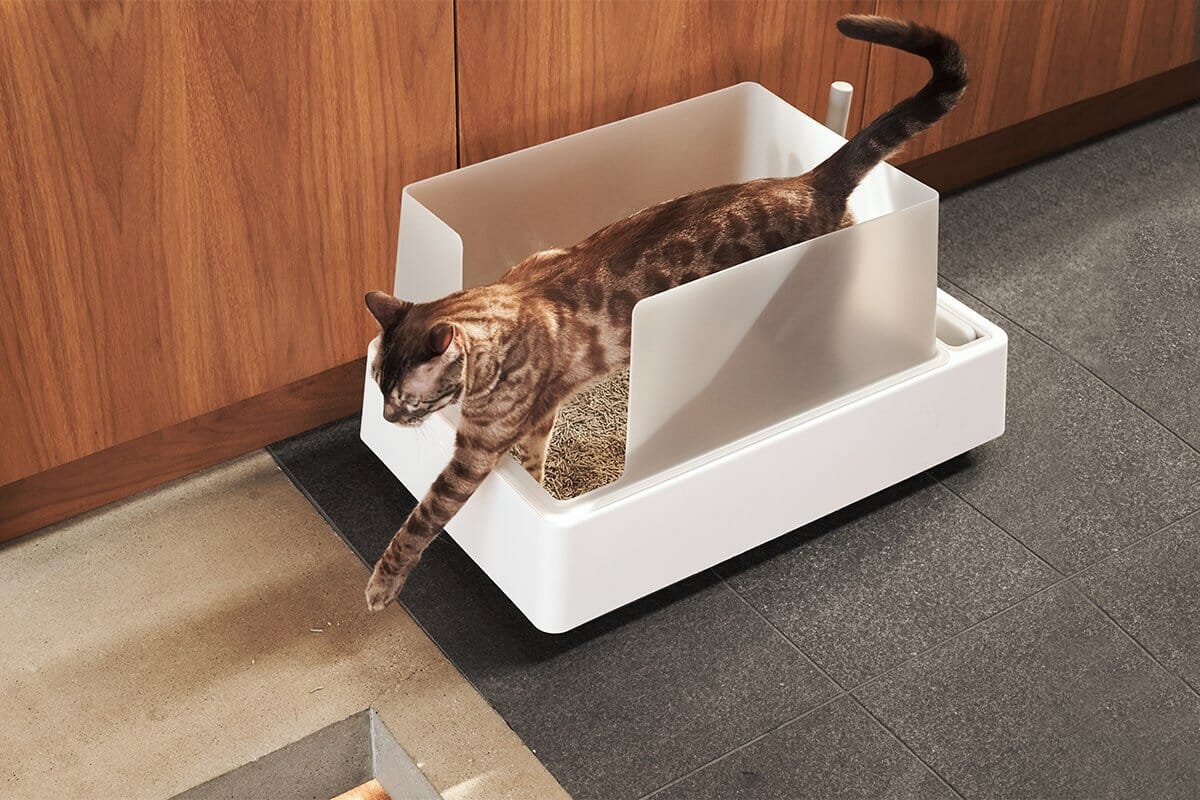 Dailypets All-in-One Litter Box with Scoop Storage