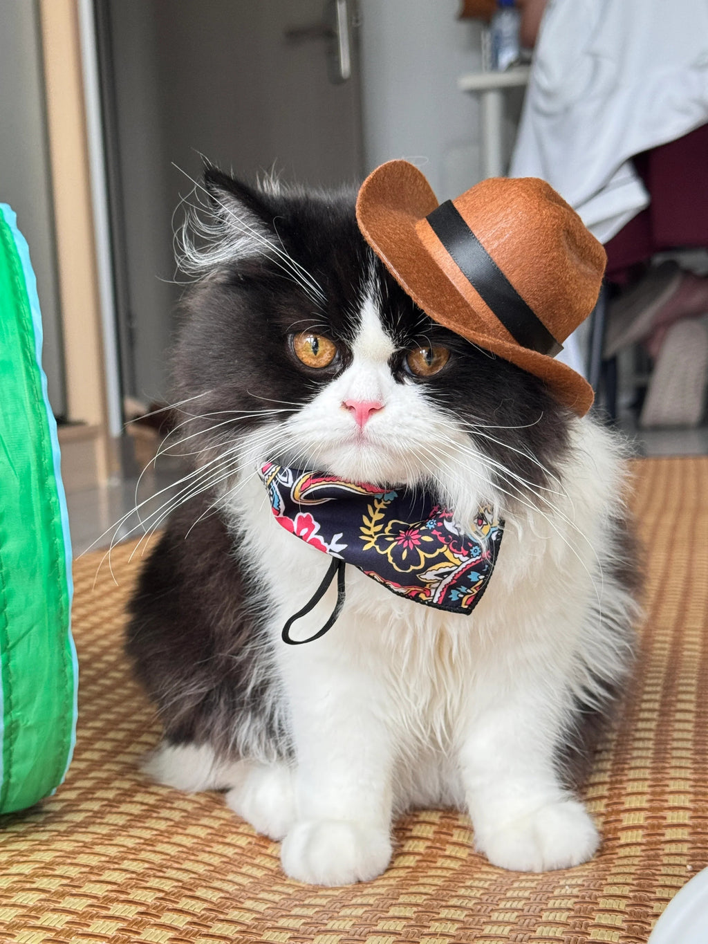 Dailypets Western-Style Cat Bandana for Indoor Cats and Special Occasions