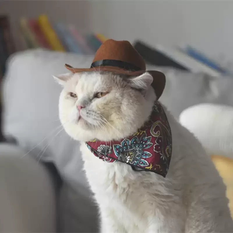 Dailypets Western-Style Cat Bandana for Indoor Cats and Special Occasions