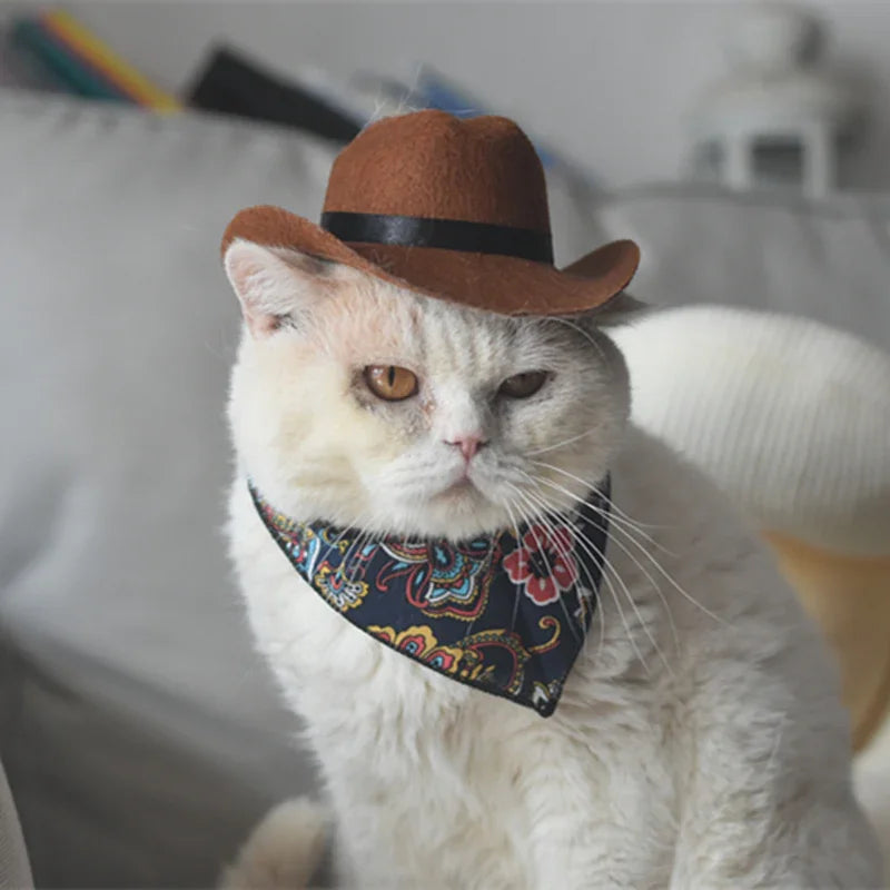 Dailypets Western-Style Cat Bandana for Indoor Cats and Special Occasions