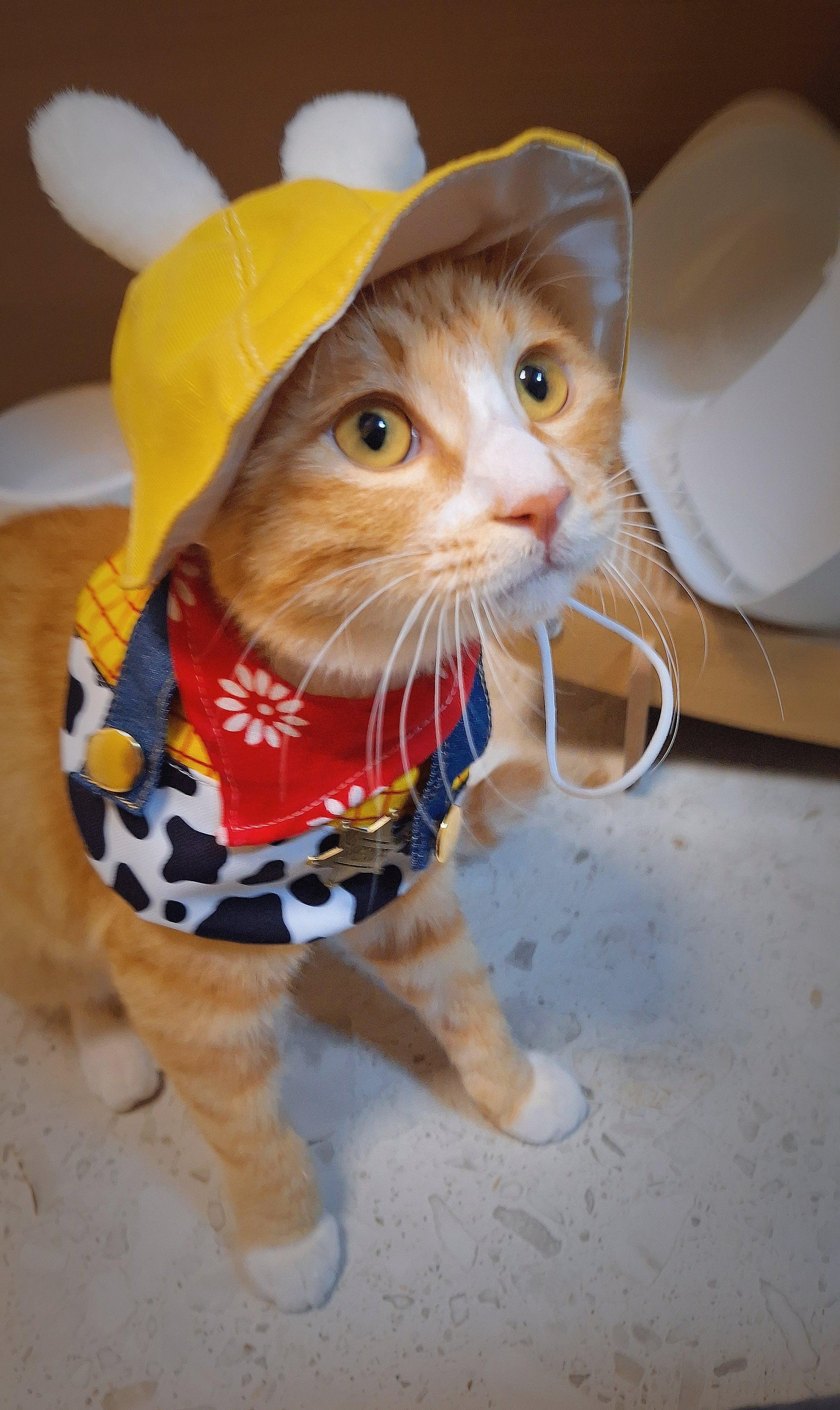 Dailypets Cowboy Sheriff Cat Costume Set with Western Hat and Patchwork Bib