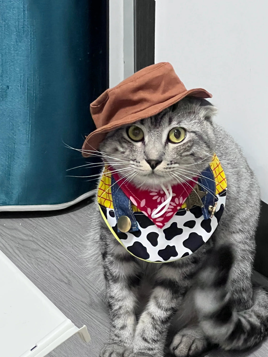 Dailypets Cowboy Sheriff Cat Costume Set with Western Hat and Patchwork Bib