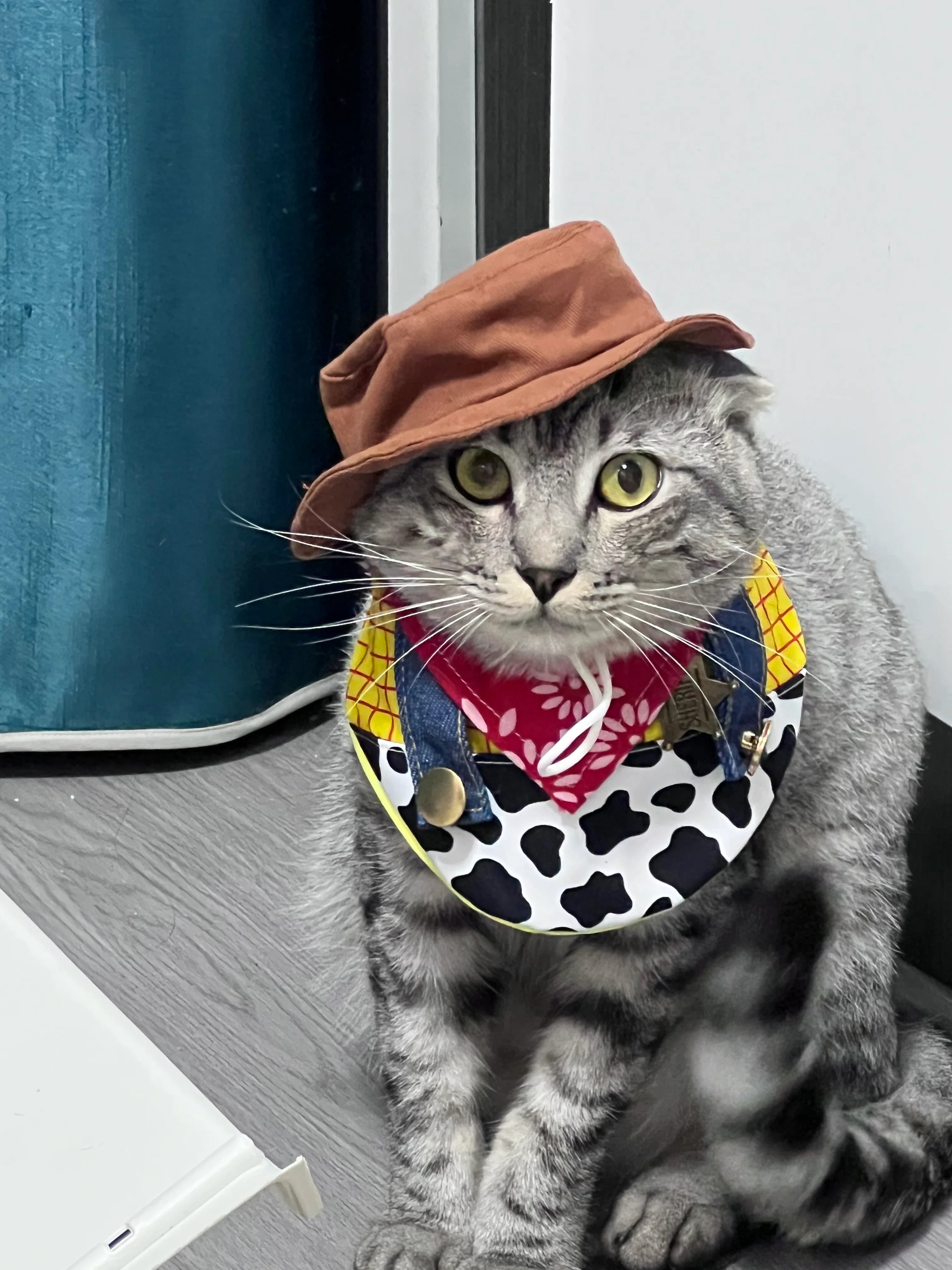 Dailypets Cowboy Sheriff Cat Costume Set with Western Hat and Patchwork Bib