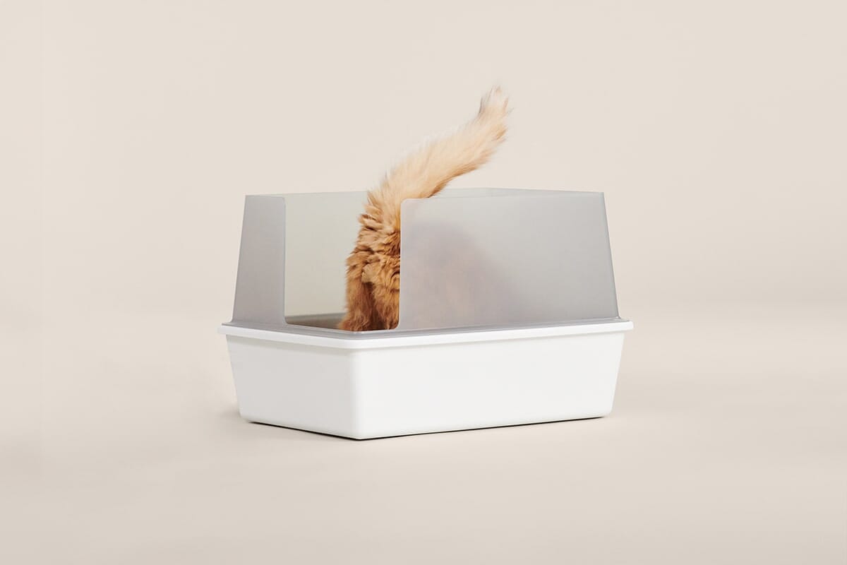 Dailypets Open-Top Litter Box with Splash Guard Walls