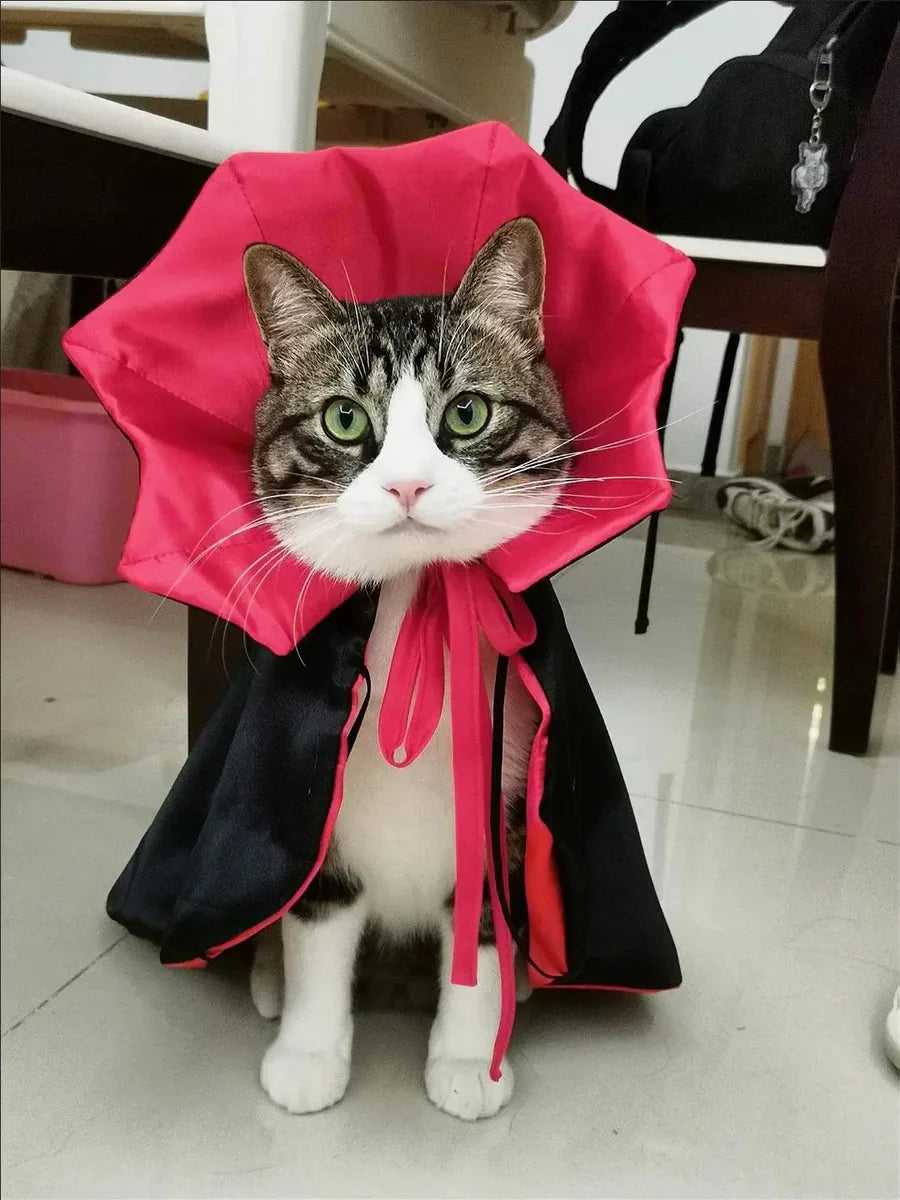 Dailypets Vampire Cat Cape with Dramatic Collar for Halloween and Costume Parties