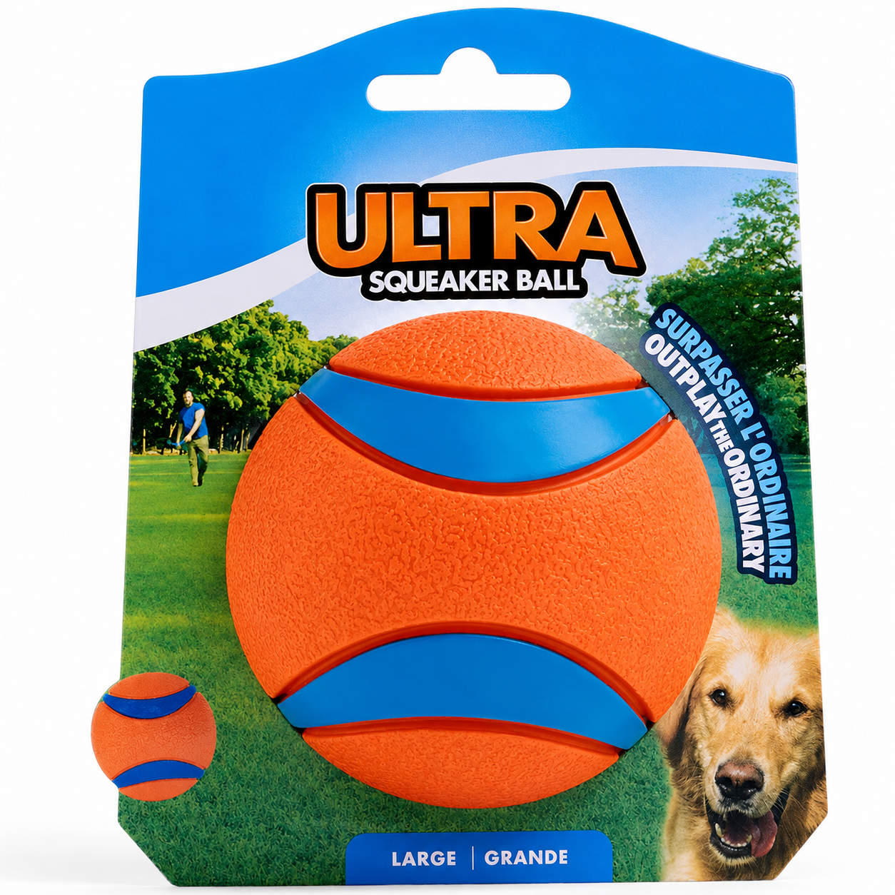Dailypets Large Rubber Fetch Ball for Dogs with High Bounce Floating Design