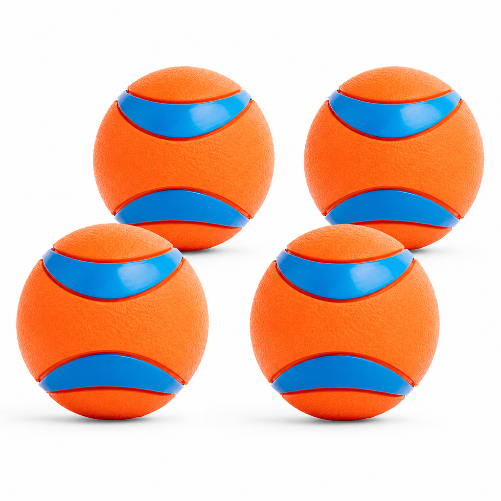 Dailypets Durable Rubber Fetch Ball Set for Dogs with High Bounce Floating Design