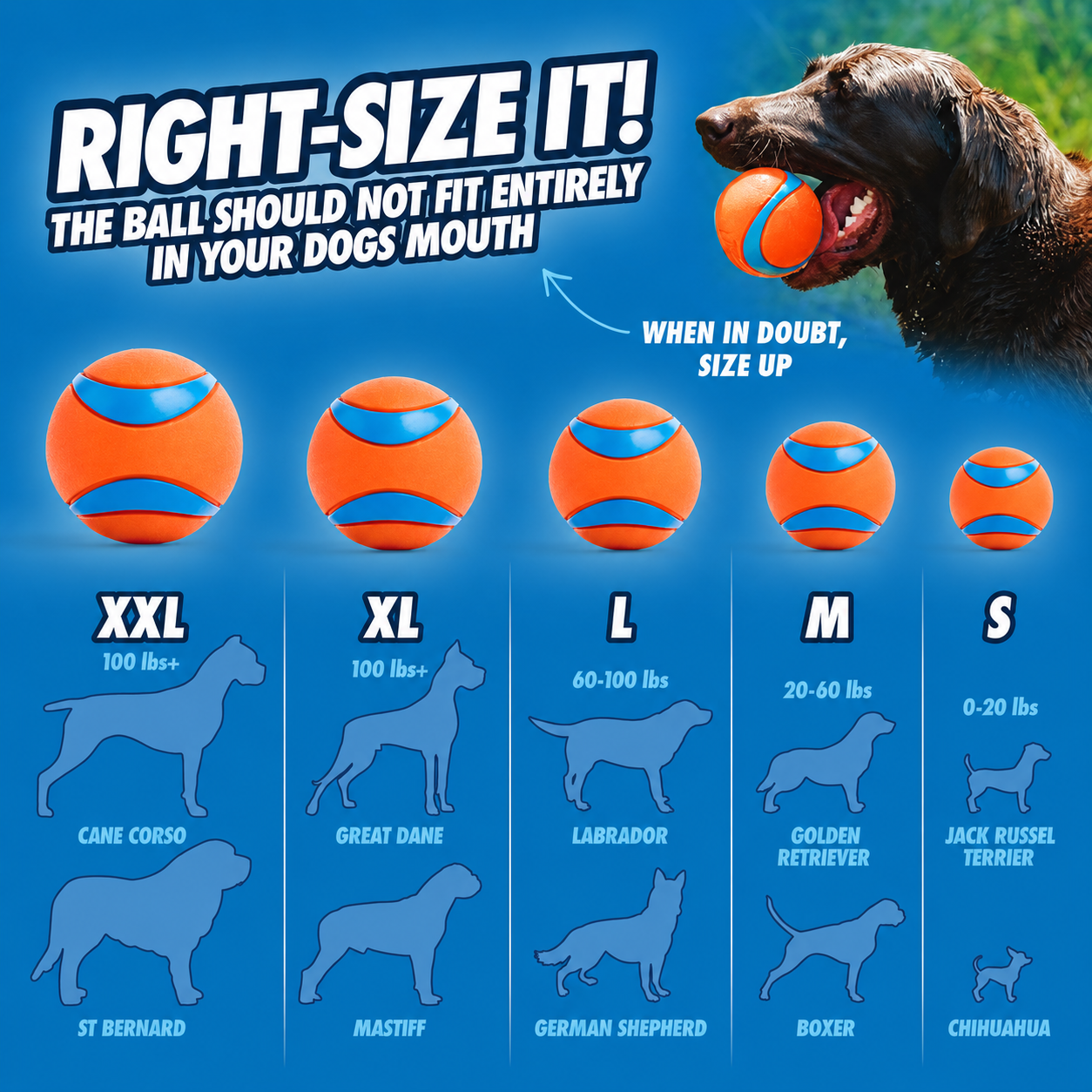 Dailypets Durable Rubber Fetch Ball Set for Dogs with High Bounce Floating Design