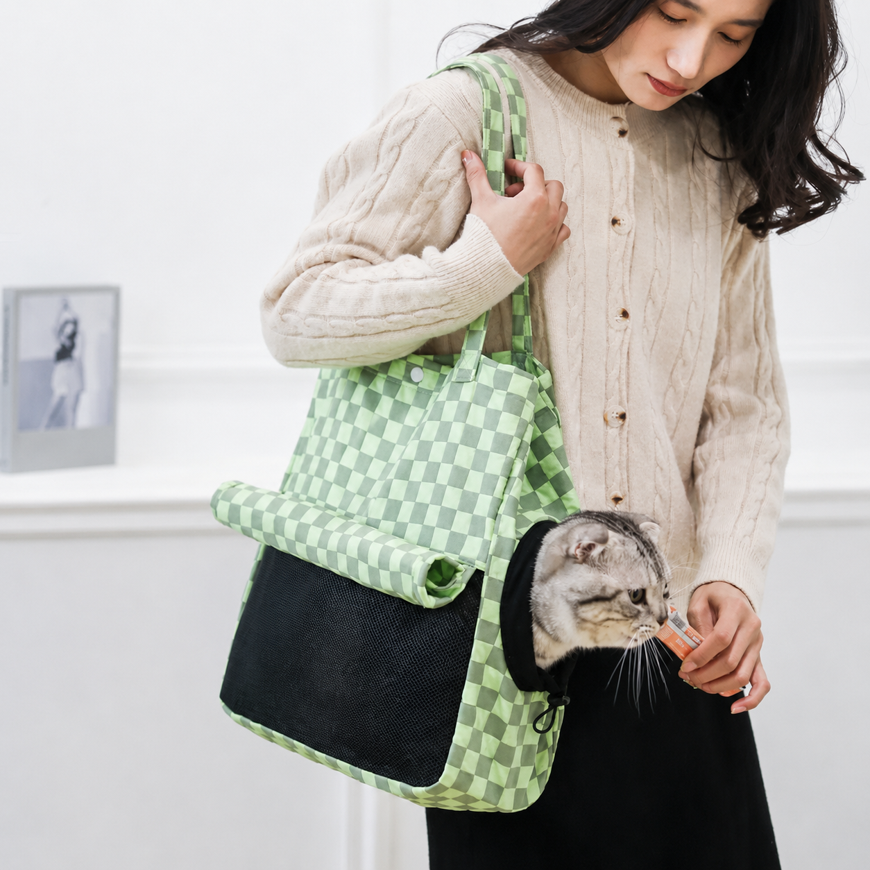 Dailypets Pet Travel Carrier Bag for Cats
