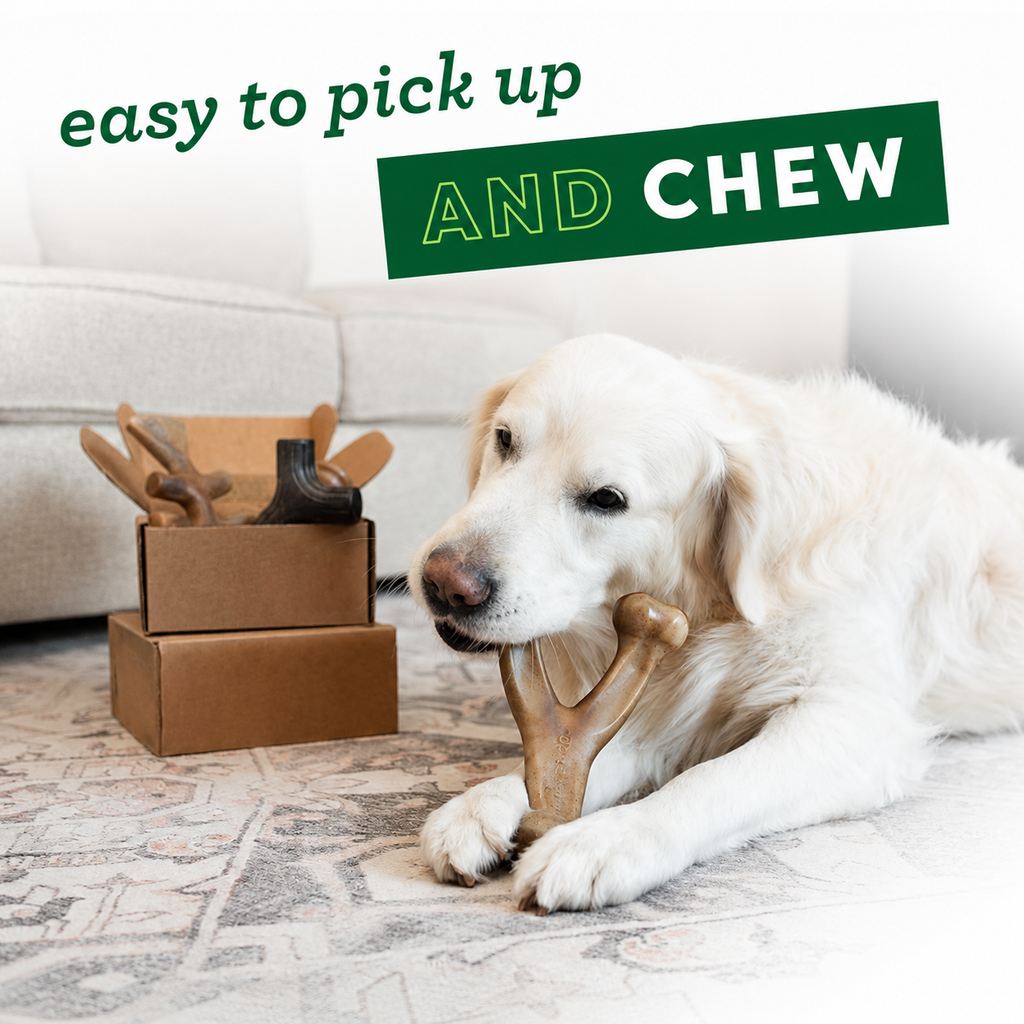 Dailypets Durable Dog Chew Toy Set for Medium Dogs with Four Long Lasting Bones