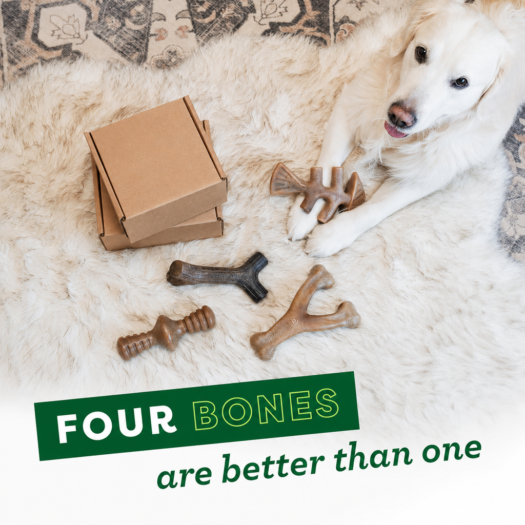 Dailypets Durable Dog Chew Toy Set for Medium Dogs with Four Long Lasting Bones