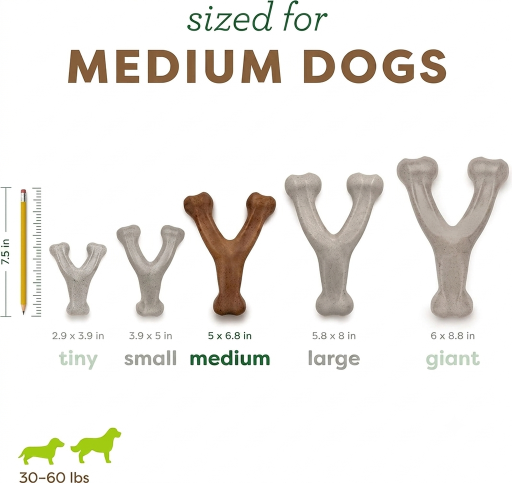 Dailypets Durable Dog Chew Toy for Aggressive Chewers with Bacon Flavor Wishbone
