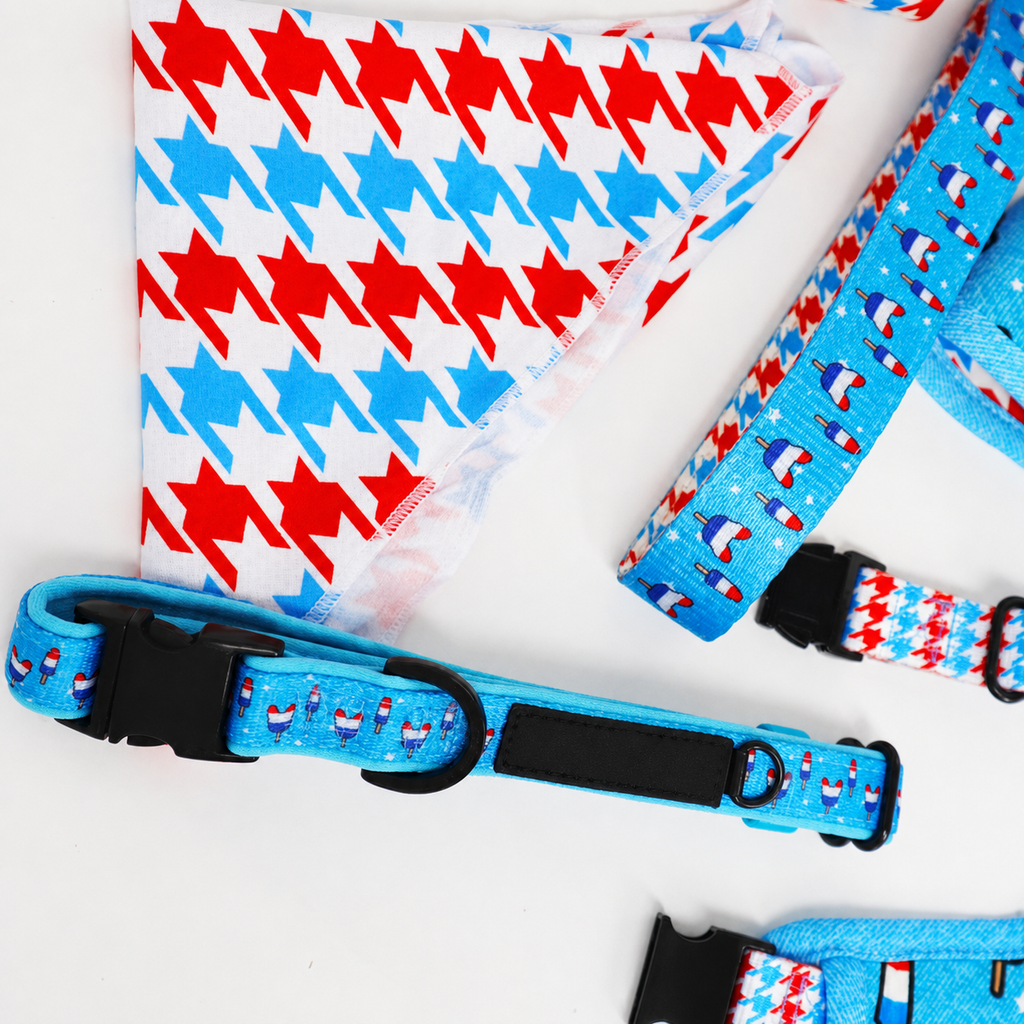 Dailypets Breakaway Dog Collar Breathable Fabric Collar for Dogs